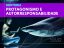 MENTORIA DE PROTAGONISMO E AUTORRESPONSABILIDADE 
